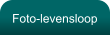 Foto-levensloop